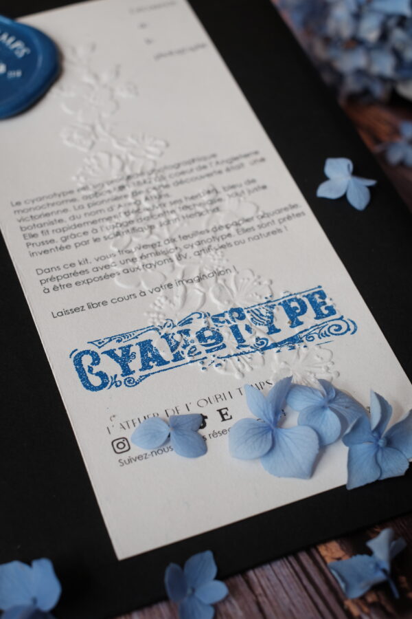 Cyanotype - DIY - Papier A4 prêt à l'emploi – Image 2
