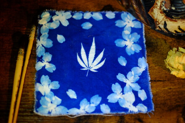 Le Cyanotype - une reconnexion à la nature 2x150 ml – Image 7