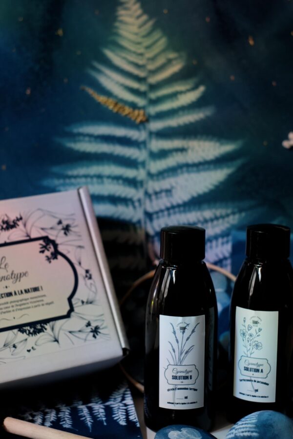 Le Cyanotype - une reconnexion à la nature 2x150 ml – Image 6