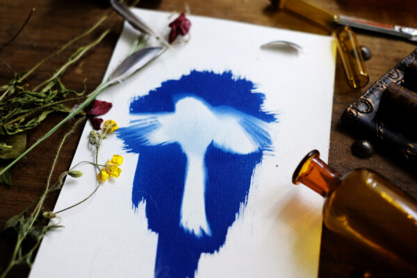 Le Cyanotype - une reconnexion à la nature 2x150 ml – Image 2