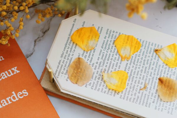 Presse à fleurs - Les corbeaux et les Renardes – Image 3