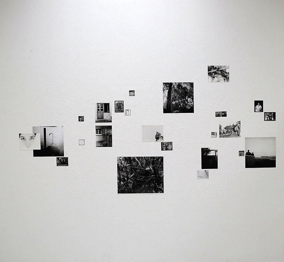 Expositions passées
