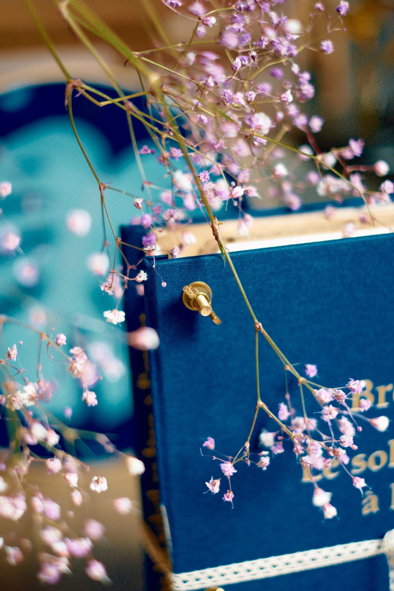 Presse à fleurs - BRETAGNE – Image 3